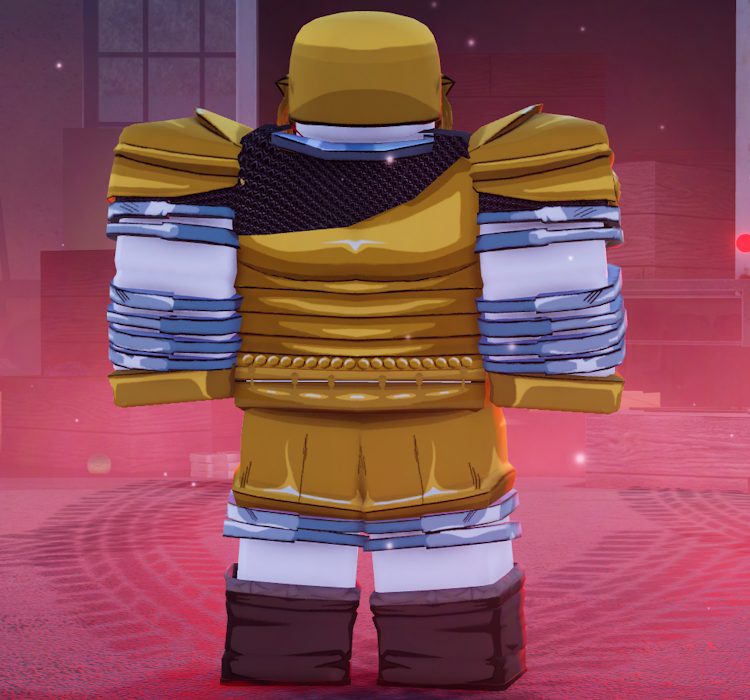 77_Rings_Champion_Outfit_Back.webp