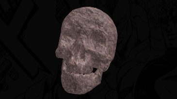 ⌜Skull of the Saint's Corpse⌟ cover image
