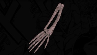 ⌜Right Arm of the Saint's Corpse⌟ cover image