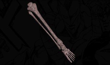 ⌜Left Leg of the Saint's Corpse⌟ cover image