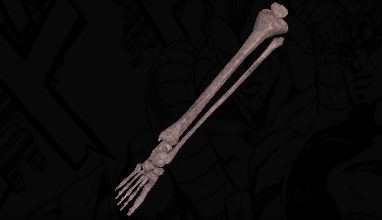 ⌜Right Leg of the Saint's Corpse⌟ cover image